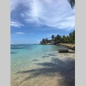 https://le-lagon-bleu-sainte-anne-grande-terre.comcaribbean.com